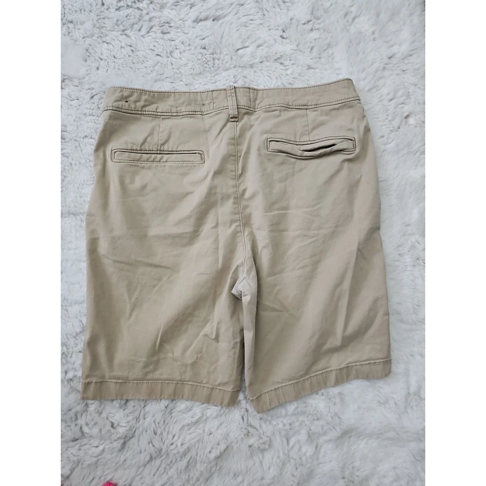 Hollister brand size
